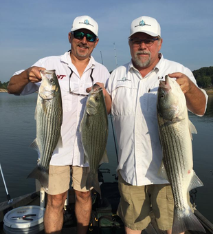 Epic Bass Fishing In Tennessee 